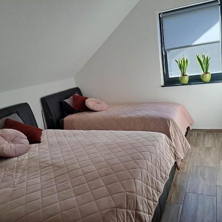 Apartmaji Tisa In Zana Rovte المظهر الخارجي الصورة