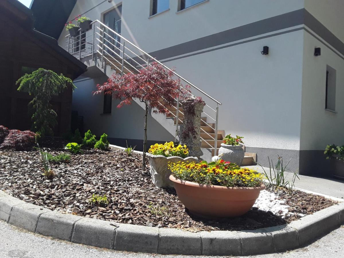 Apartmaji Tisa In Zana Rovte المظهر الخارجي الصورة