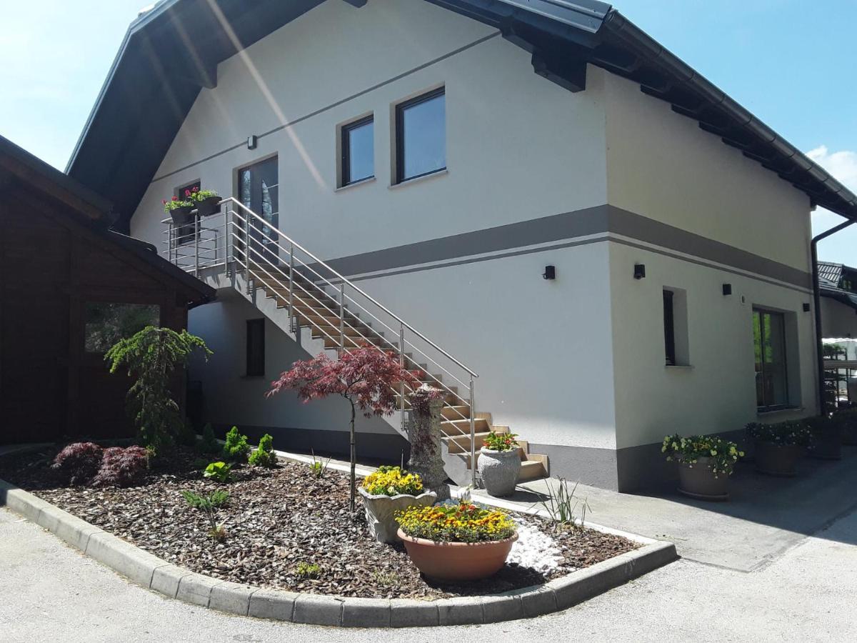 Apartmaji Tisa In Zana Rovte المظهر الخارجي الصورة