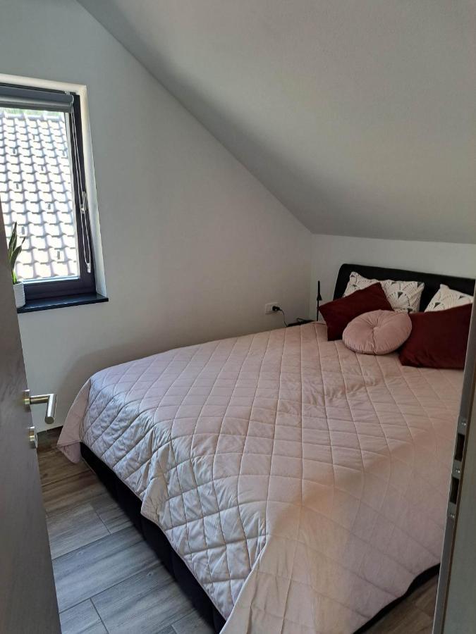 Apartmaji Tisa In Zana Rovte المظهر الخارجي الصورة
