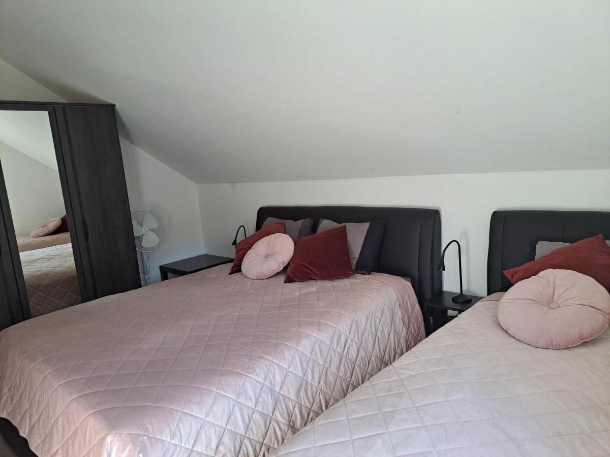 Apartmaji Tisa In Zana Rovte المظهر الخارجي الصورة