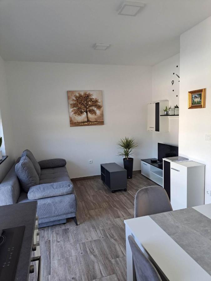 Apartmaji Tisa In Zana Rovte المظهر الخارجي الصورة