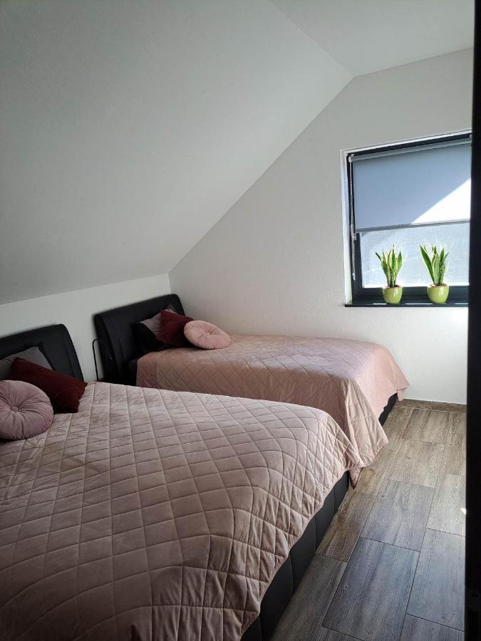 Apartmaji Tisa In Zana Rovte المظهر الخارجي الصورة