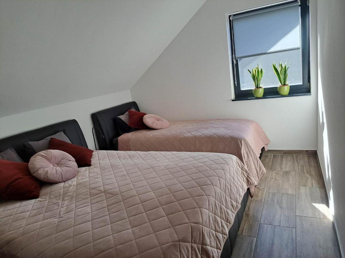 Apartmaji Tisa In Zana Rovte المظهر الخارجي الصورة